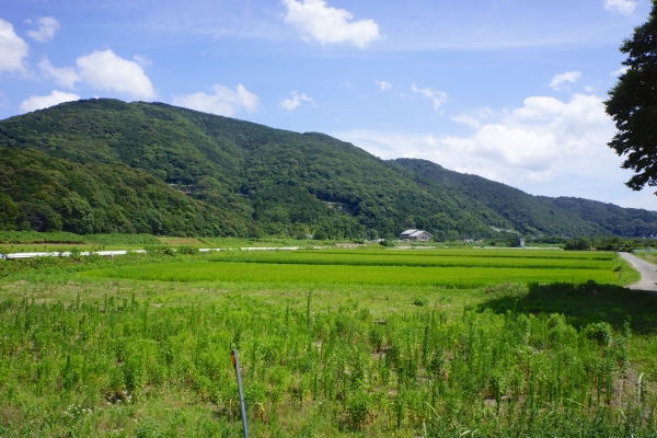 DSC03719.jpg