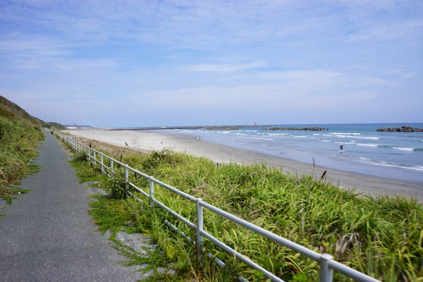 DSC03781.jpg