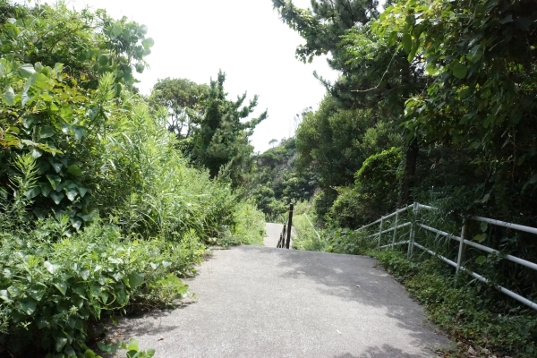 DSC03774.jpg