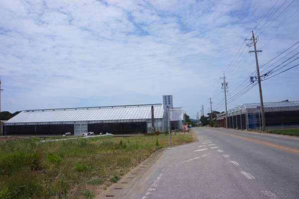 DSC03768.jpg