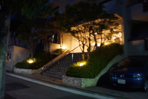 DSC04366.jpg