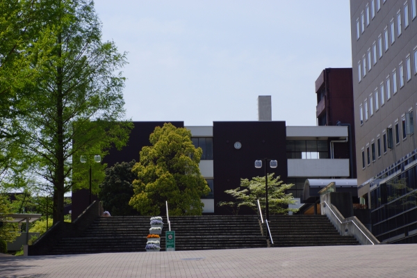 DSC04534.jpg