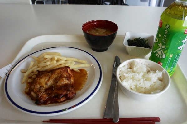 DSC04539.jpg