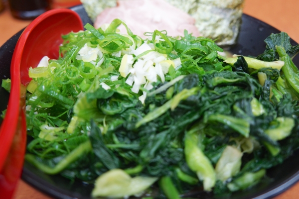 DSC04919.jpg