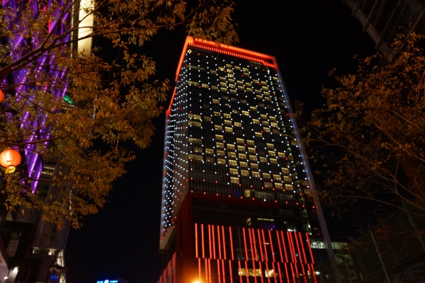 DSC02926.jpg