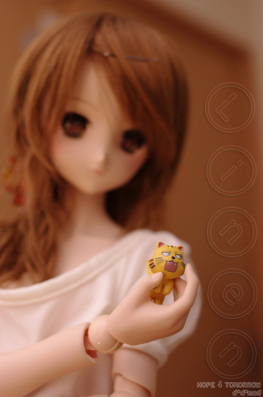 20120122-05.jpg