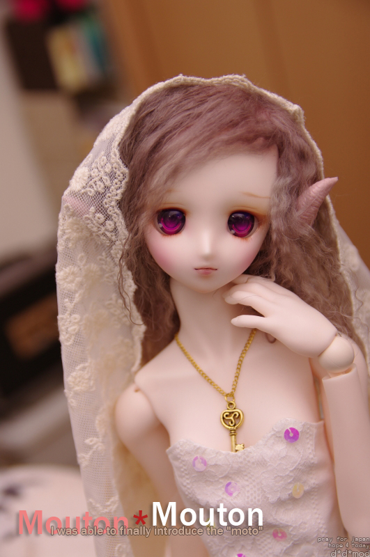 20130203-03.jpg