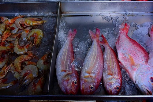 15魚