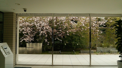 DSC_8882.jpg