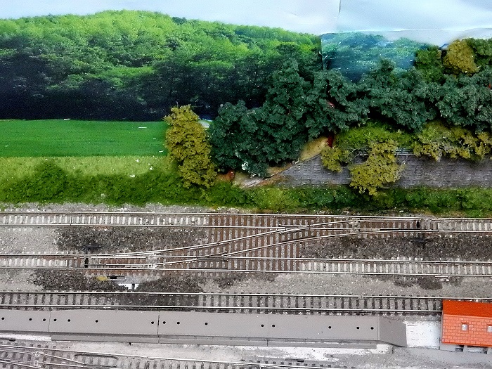 Nゲージジオラマ自宅新レイアウト製作記】KATO片渡りポイント新年早々