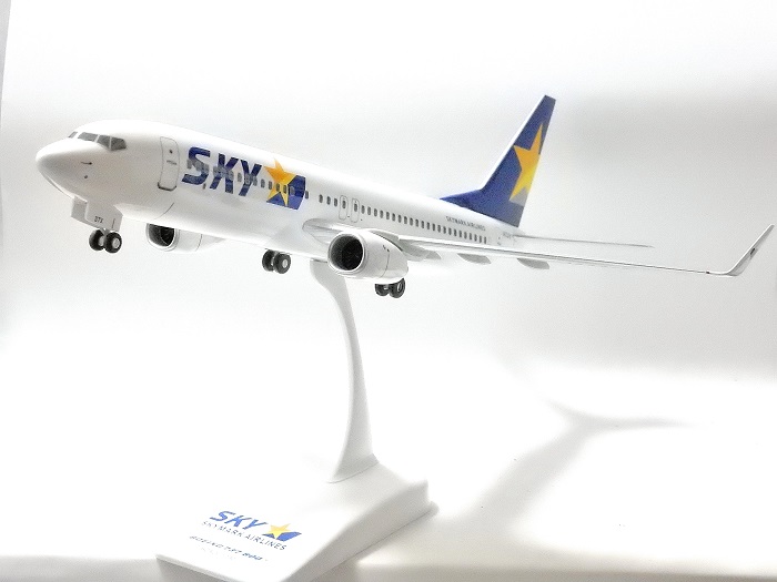 航空機事業部】EverRise（エバーライズ）スカイマーク航空 737