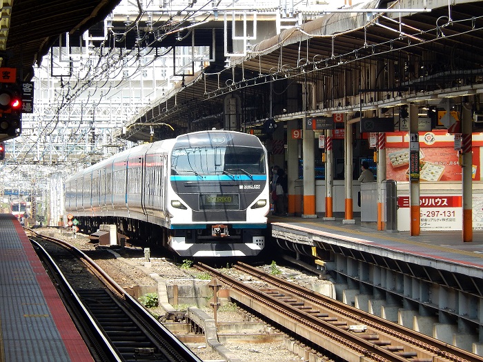 撮り鉄】JR東日本E257系2000番台特急「踊り子」鉄道写真撮影！185系15