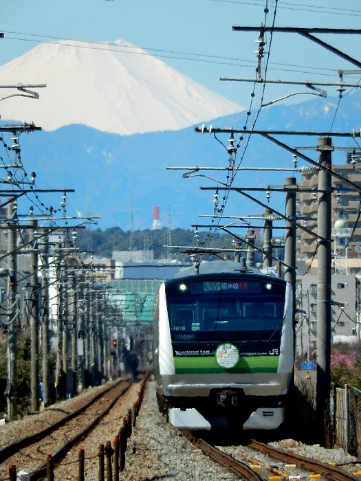 Amazon.co.jp: JR横浜線 根岸線 停車駅のご案内 JR東日本 電車