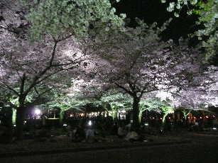万博公園004