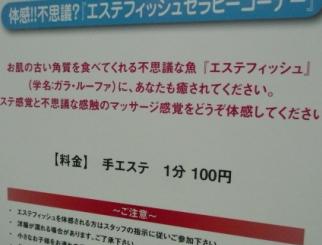 エステフィッシュ