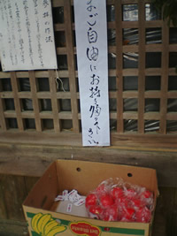 だるま