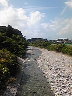 090823_1343~01.jpg