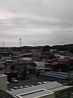 090829_1316~01.jpg