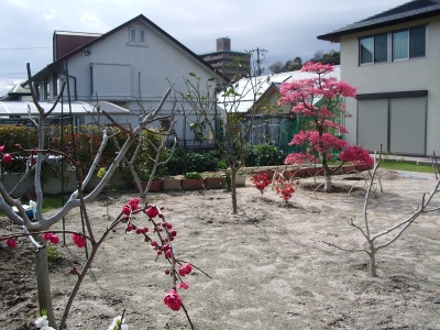 梅の花咲く風水庭園
