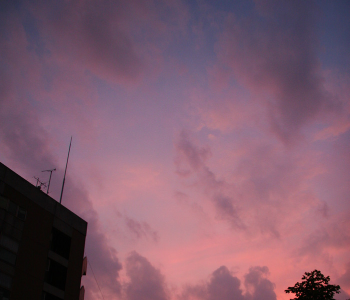 20070817sunset@新宿御苑