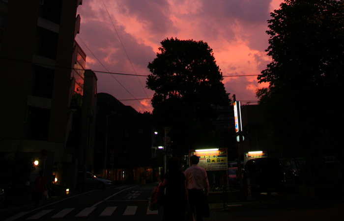 20070817sunset@新宿御苑
