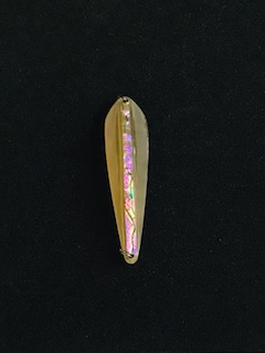IMG_6550.jpg