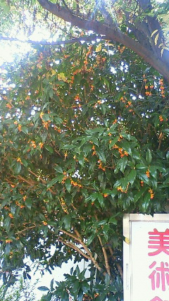 DSC00048.jpg