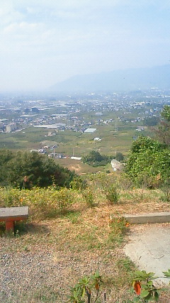 DSC00046.jpg