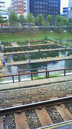 DSC00067.jpg