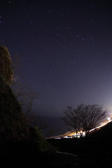 丘の上からの夜景