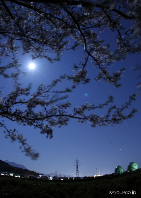 桜と☆
