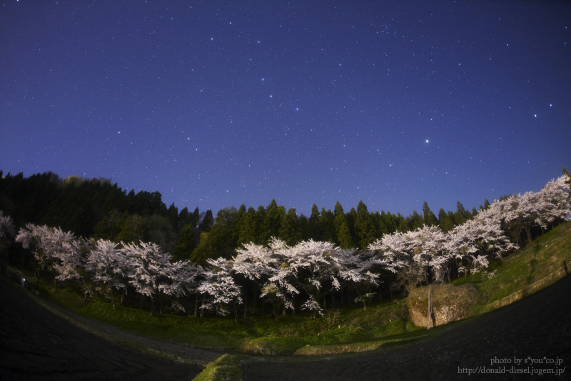 桜北斗