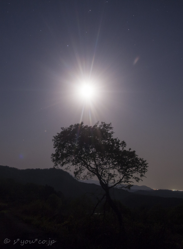 Moonlight