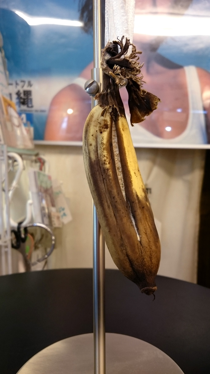 シマバナナ1.jpg