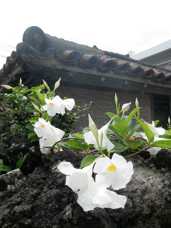 2012年の5月3.jpg