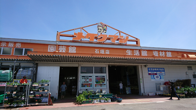 ブーゲンビリアー1.jpg