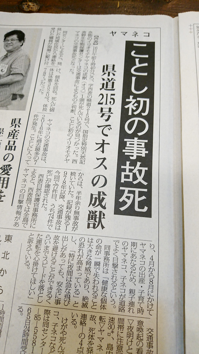 事故死.jpg