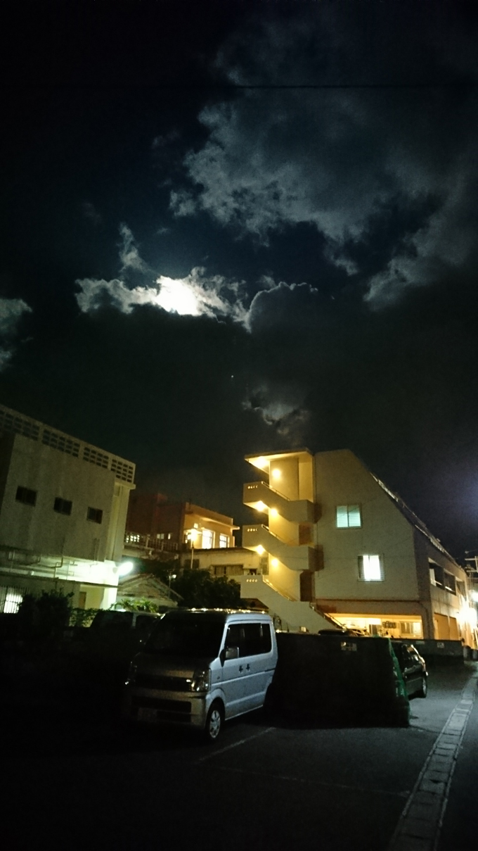 月明かり.jpg
