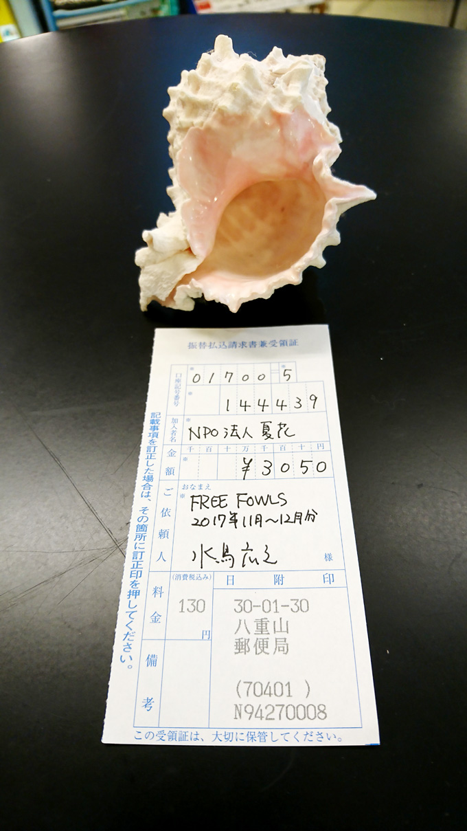 2月サンゴ.jpg