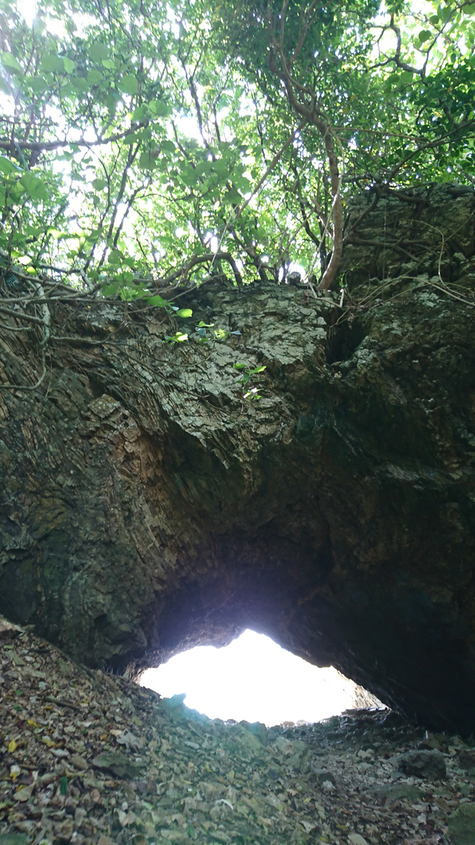 洞窟1.jpg