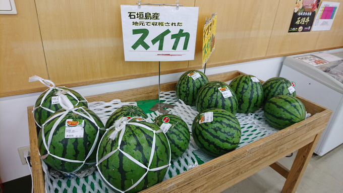 スイカ3.jpg