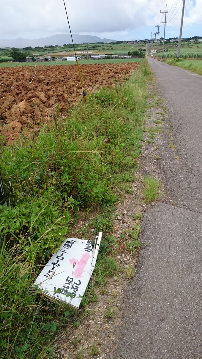20160724_1738934.jpg