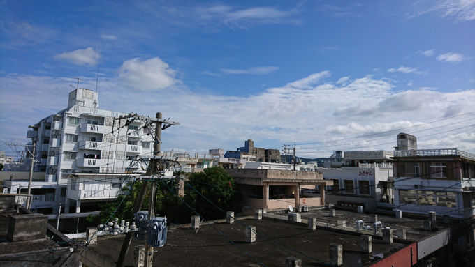 サンゴボ1.jpg