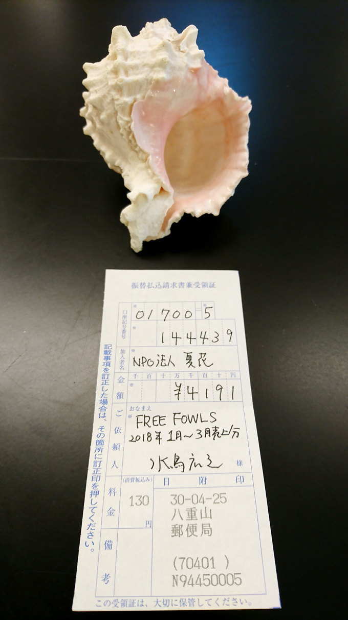 サンゴボ2.jpg