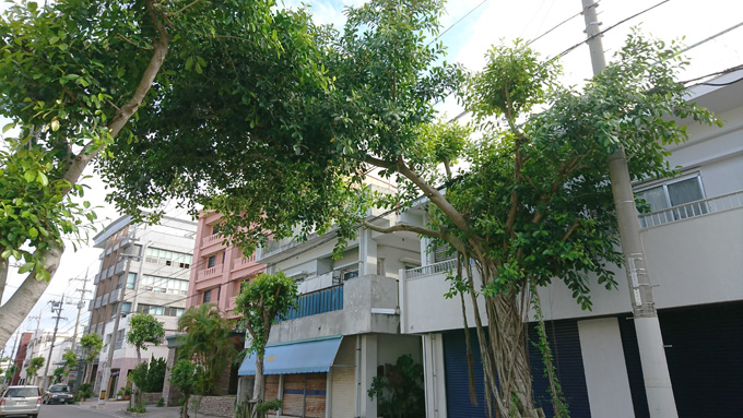 相思相愛2.jpg