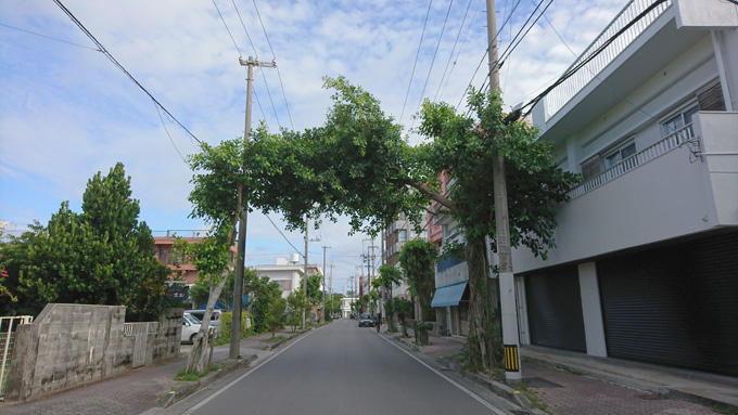 相思相愛3.jpg