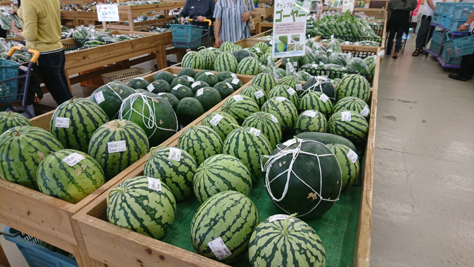 超早場米4.jpg