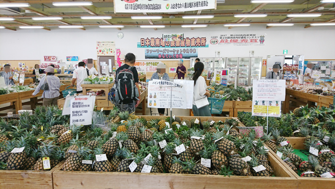 超早場米5.jpg