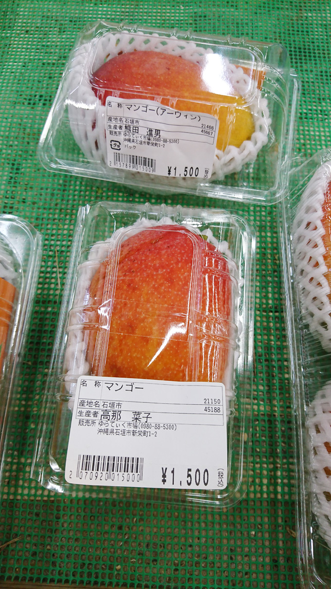 争奪戦4.jpg