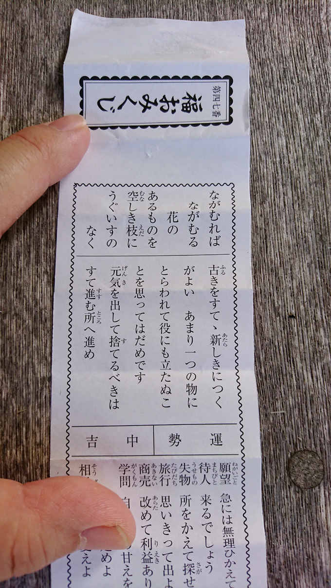くまぜみ2.jpg